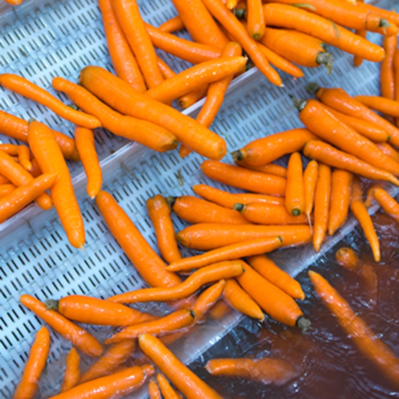 Food Sub-segment Banner