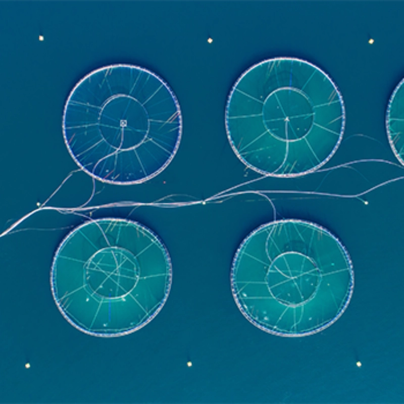 Engineering Plastics for Aquaculture