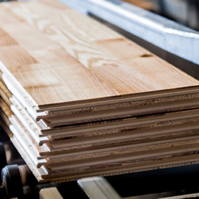 Timber and Forestry Sub Segment
