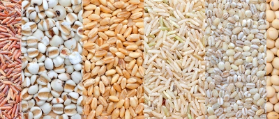 Agriculture Banner