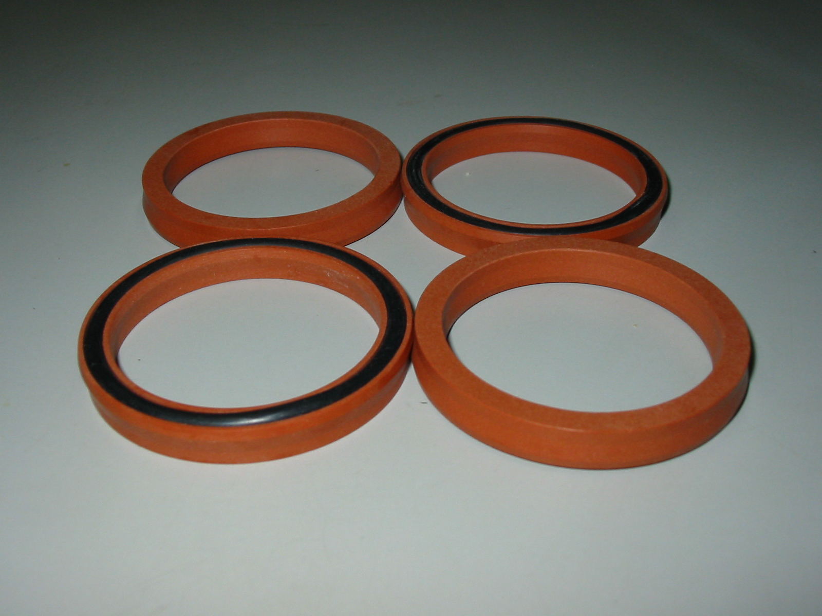 ptfe dairy seals